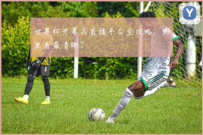 世界杯开幕式直播平台全攻略：哪里看最清晰？