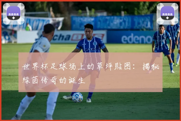 世界杯足球场上的草坪贴图:揭秘绿茵传奇的诞生