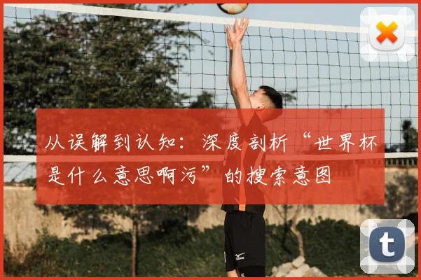 从误解到认知：深度剖析“世界杯是什么意思啊污”的搜索意图