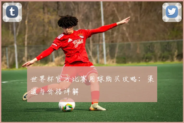 世界杯官方比赛用球购买攻略:渠道与价格详解