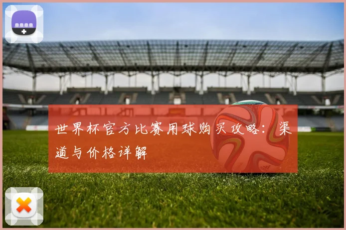 世界杯官方比赛用球购买攻略：渠道与价格详解
