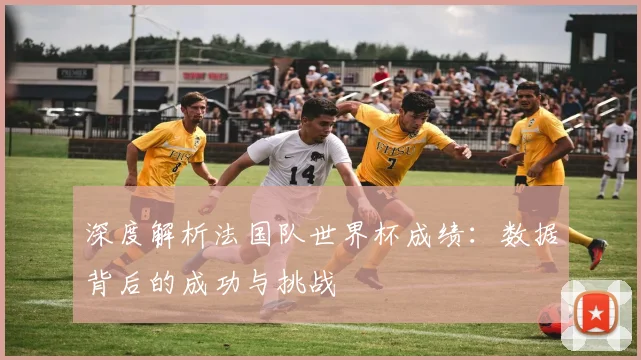 深度解析法国队世界杯成绩：数据背后的成功与挑战