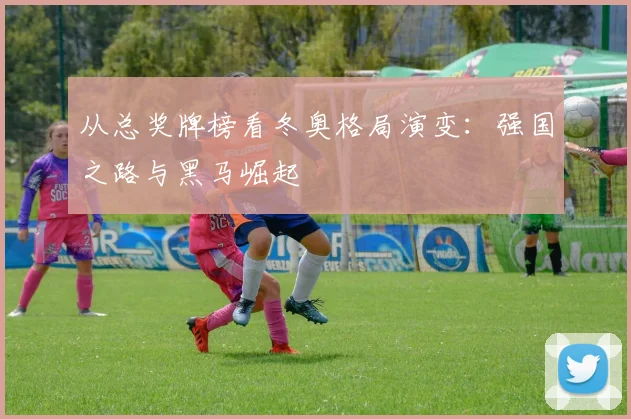 从总奖牌榜看冬奥格局演变：强国之路与黑马崛起